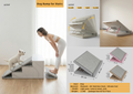 Dog Ramp for Stairs
