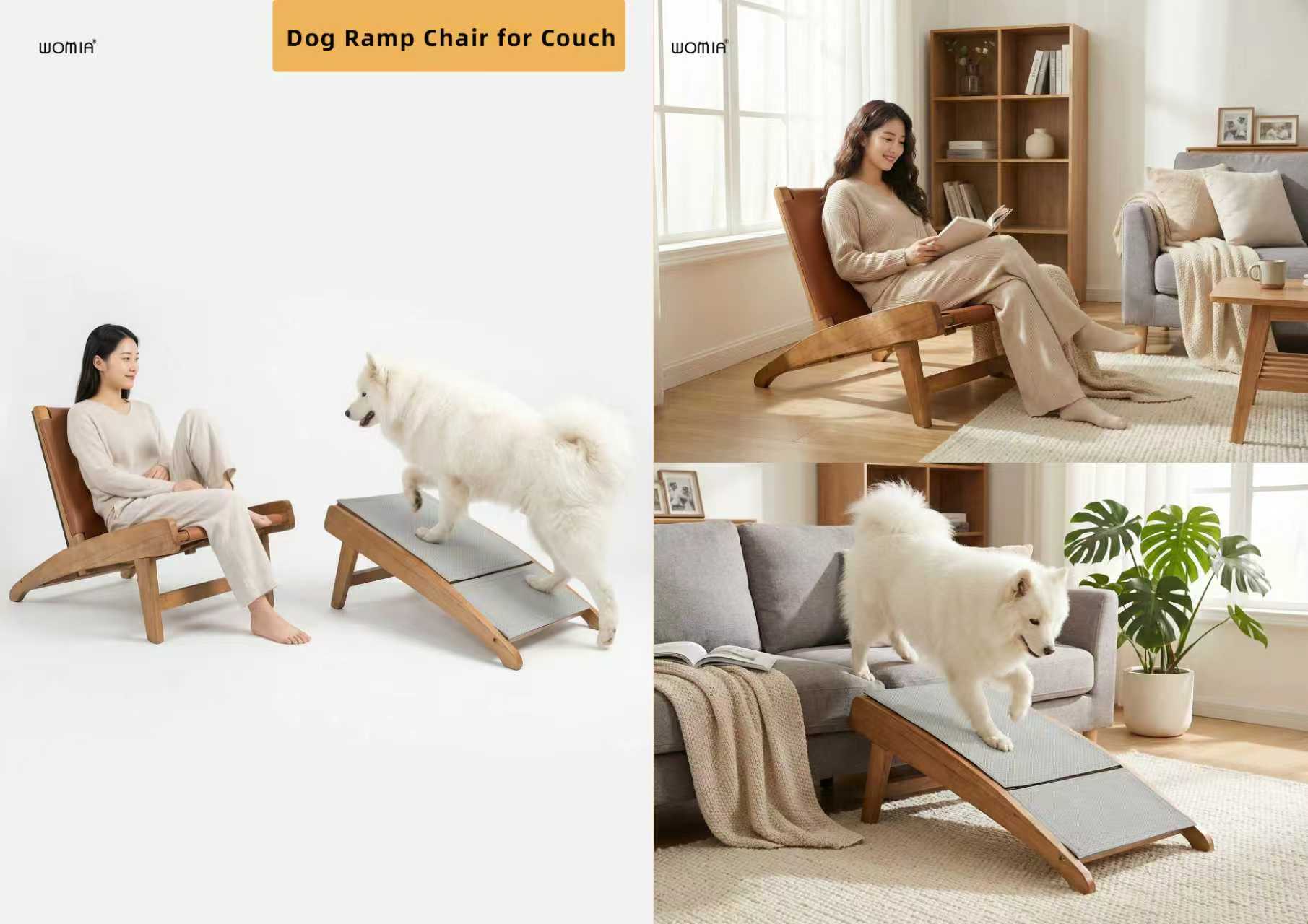 Dog Ramp Chair for Couch